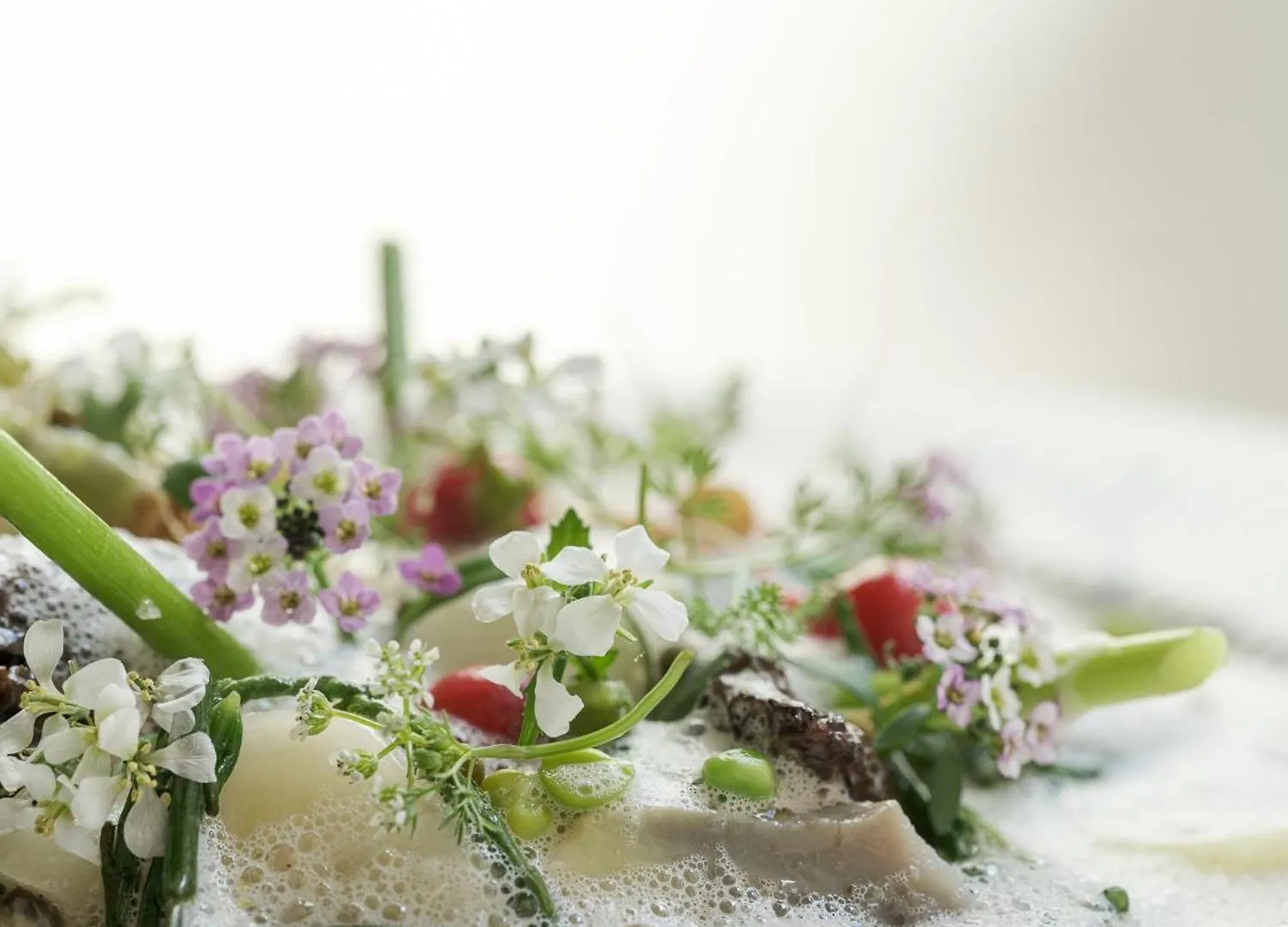 Botanic Sanctuary Antwerp - The Leading Hotels Of The World